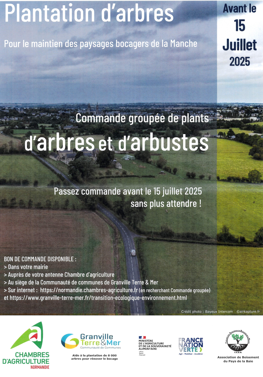 plantation arbres25